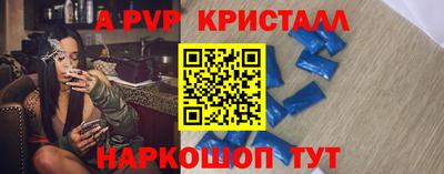тгк Кингисепп