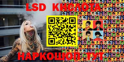 тгк Кингисепп