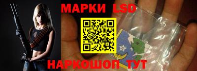 тгк Кингисепп