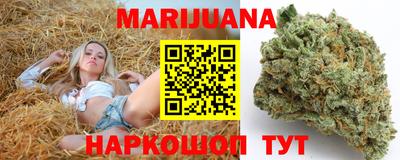 тгк Кингисепп