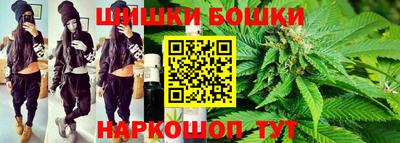 тгк Кингисепп