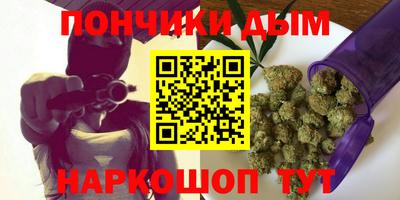 тгк Кингисепп