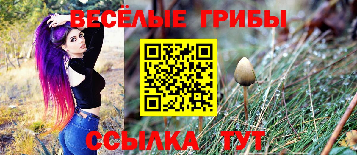 Галлюциногенные грибы GOLDEN TEACHER Коряжма