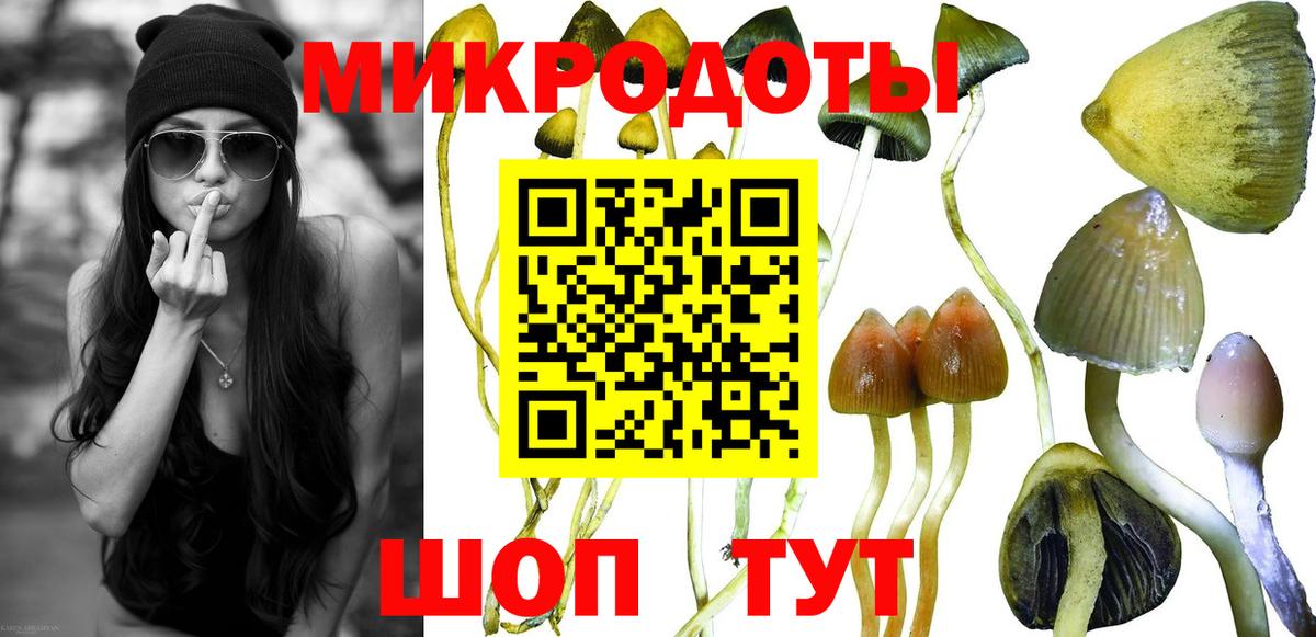 Коряжма  Галлюциногенные грибы мицелий  Вход с VPN 